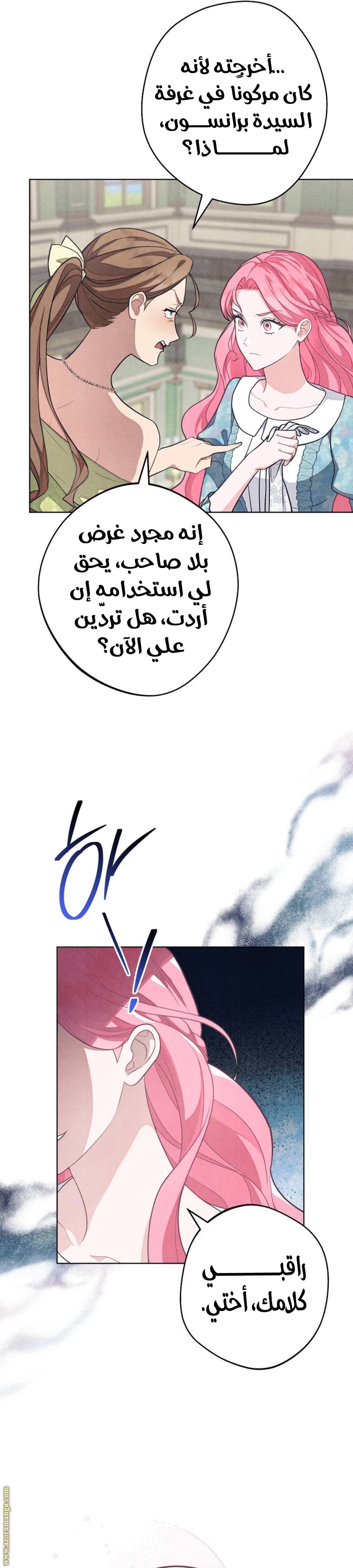 الصفحة 26