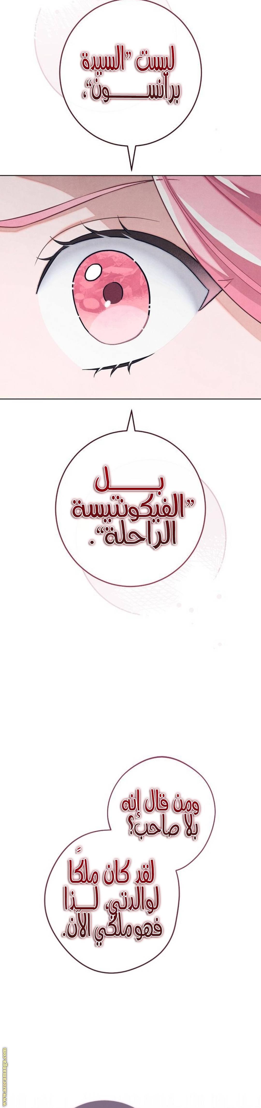 الصفحة 27