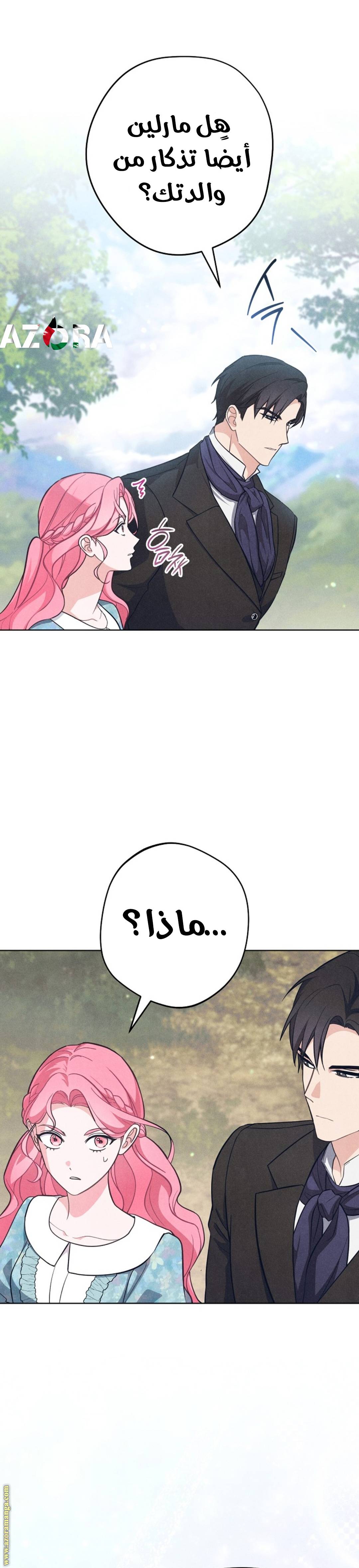 الصفحة 38
