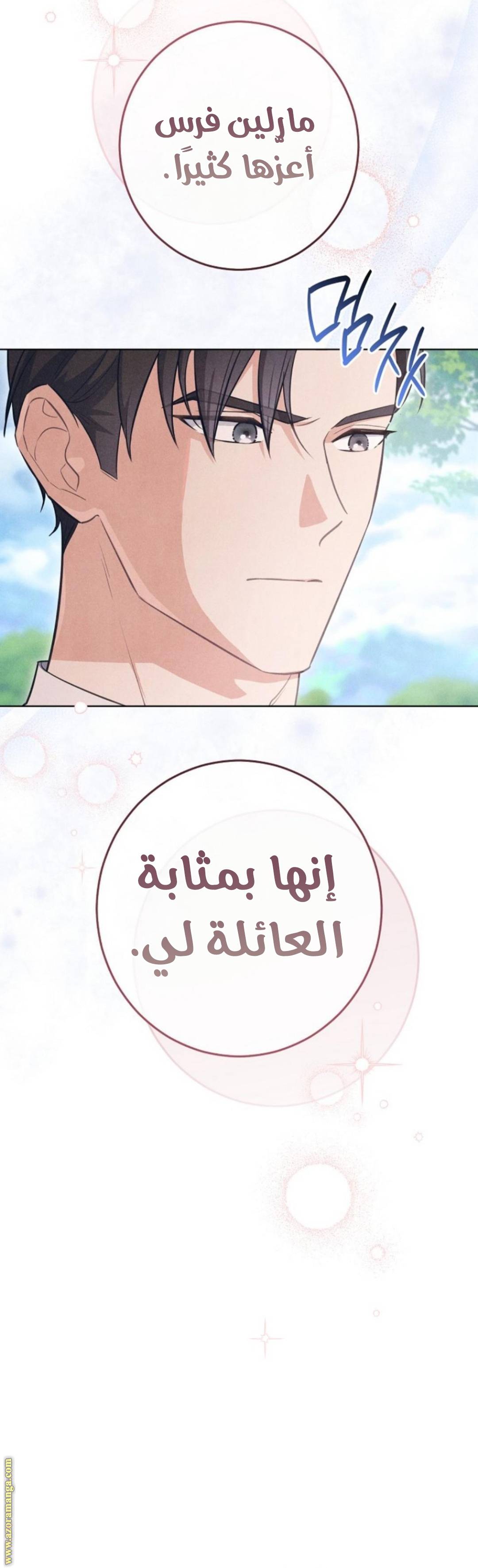 الصفحة 40
