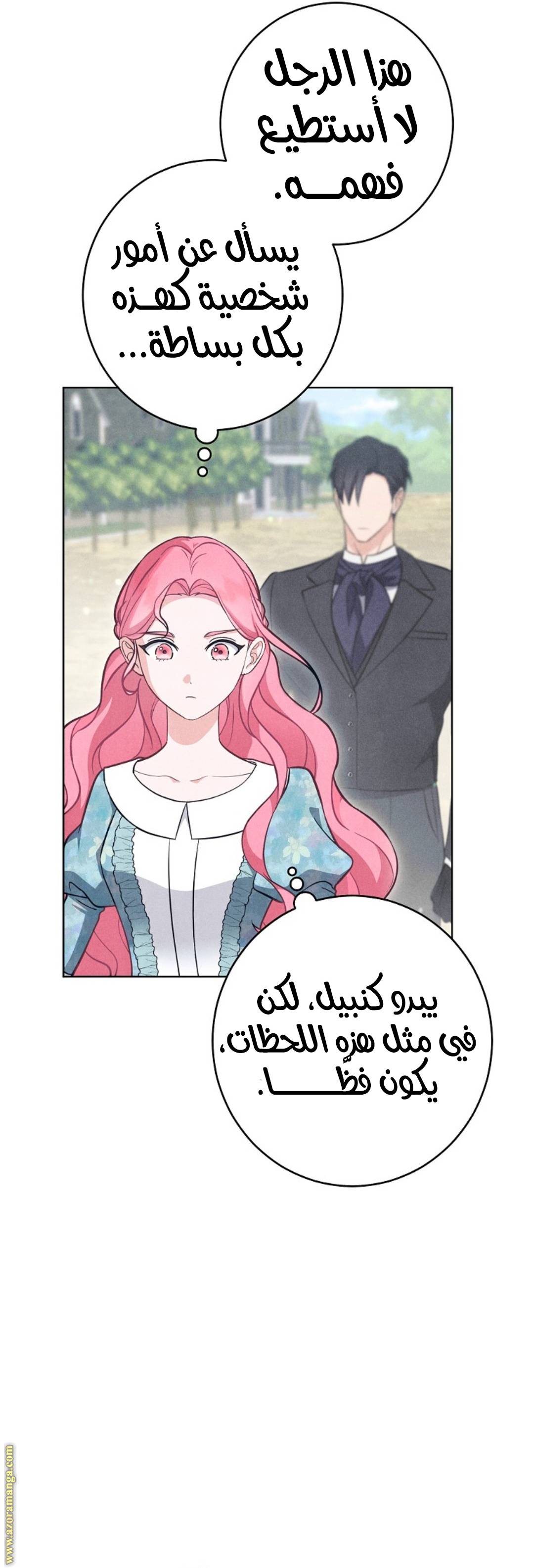 الصفحة 41