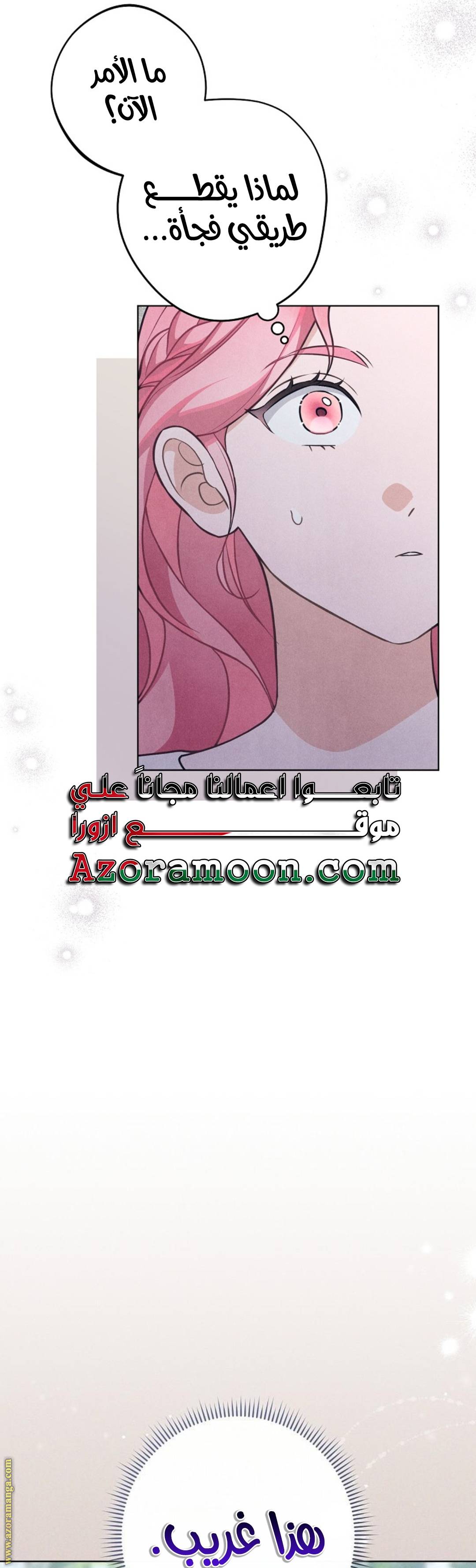 الصفحة 43