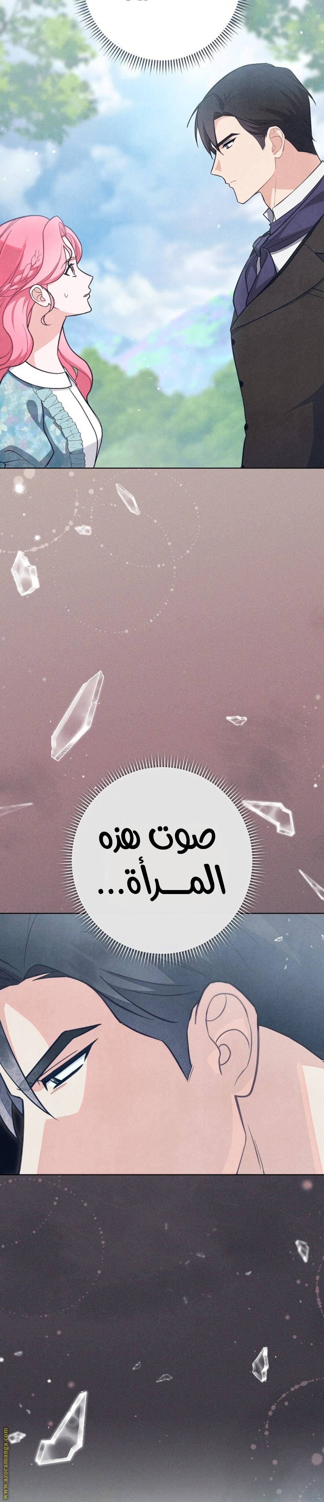 الصفحة 44