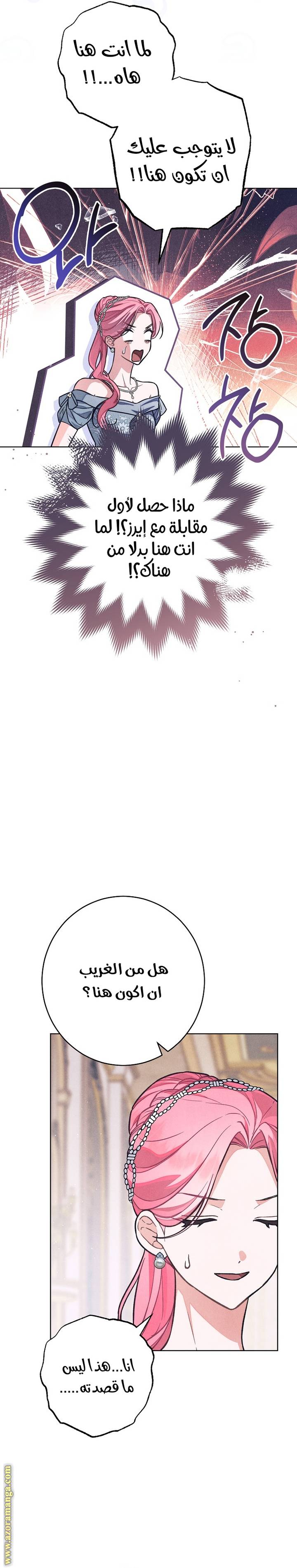 الصفحة 19