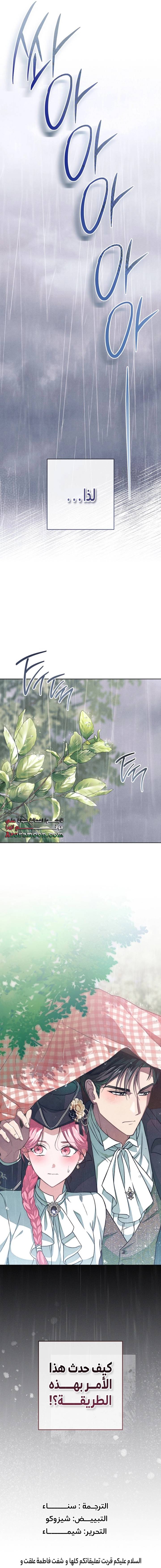 الصفحة 17