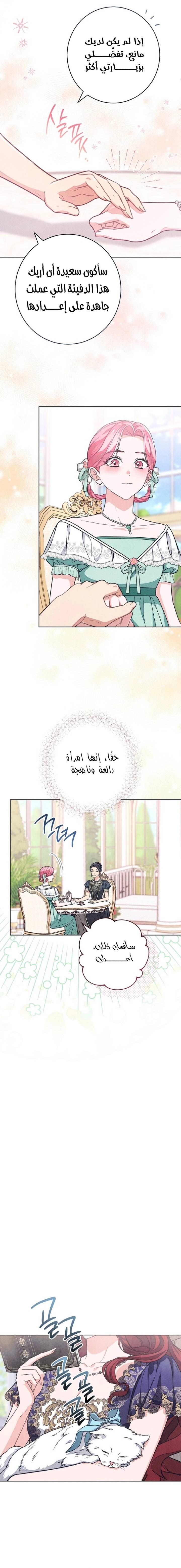 الصفحة 16