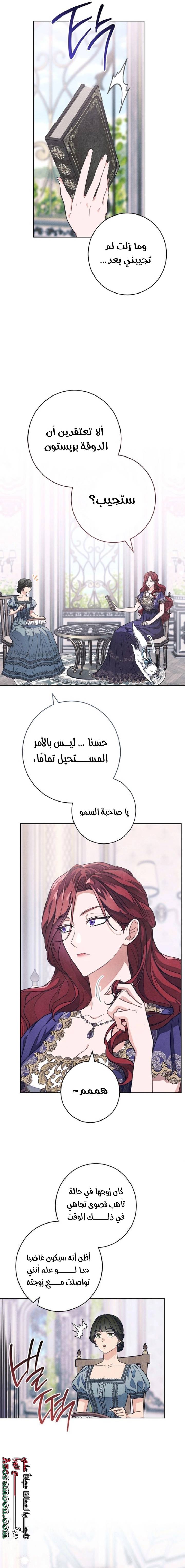 الصفحة 17