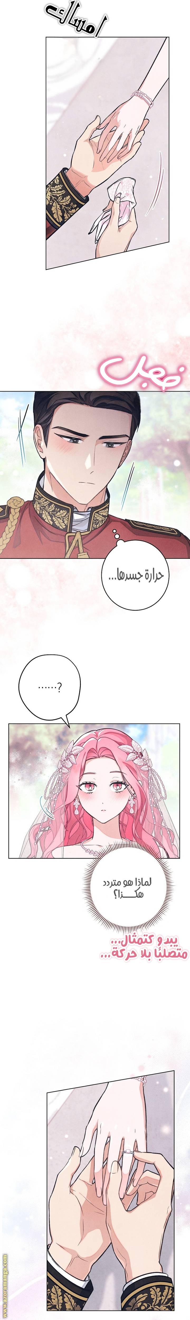 الصفحة 19