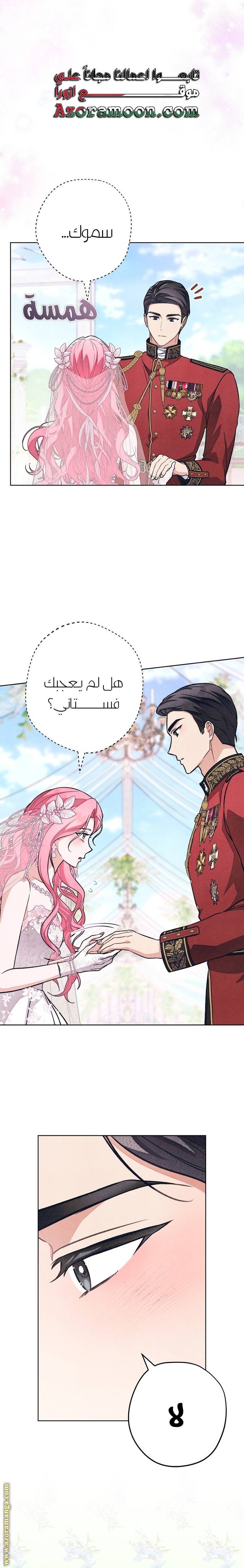 الصفحة 20