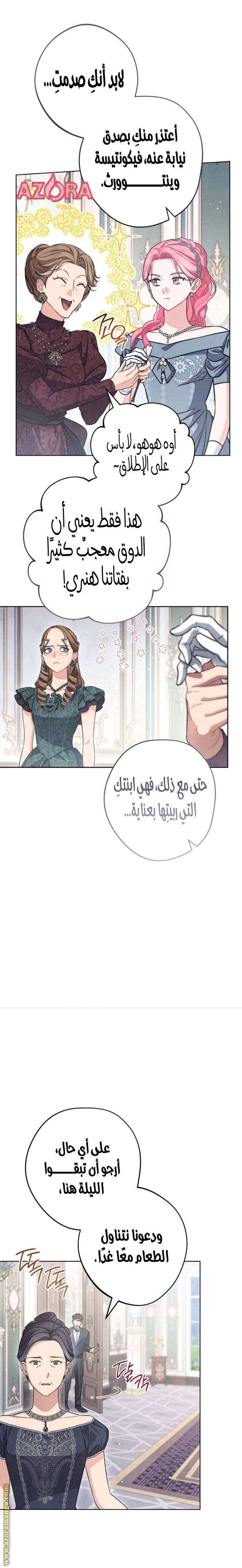 الصفحة 17