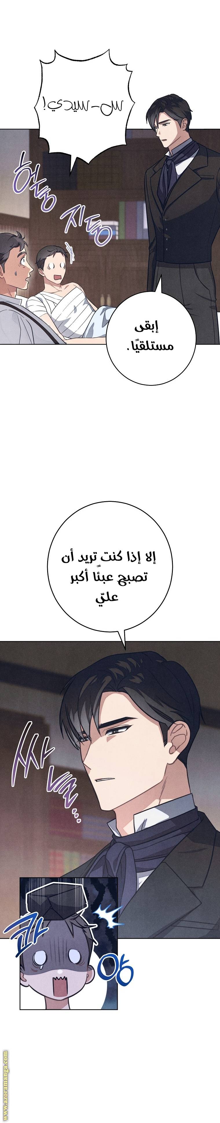 الصفحة 14