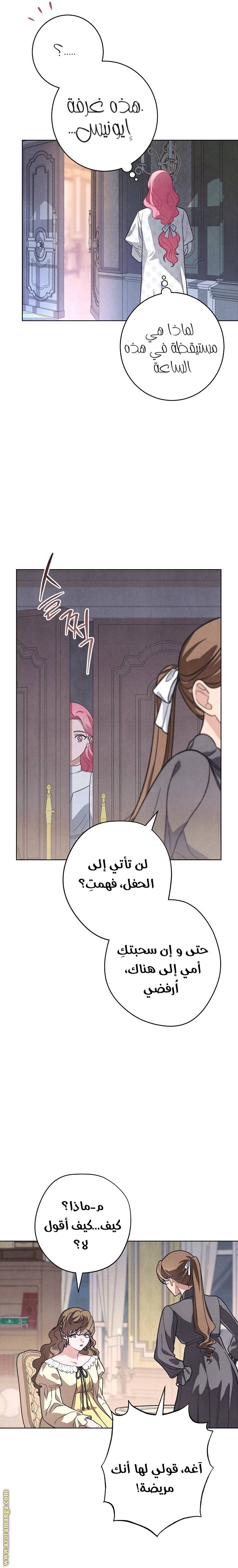 الصفحة 17
