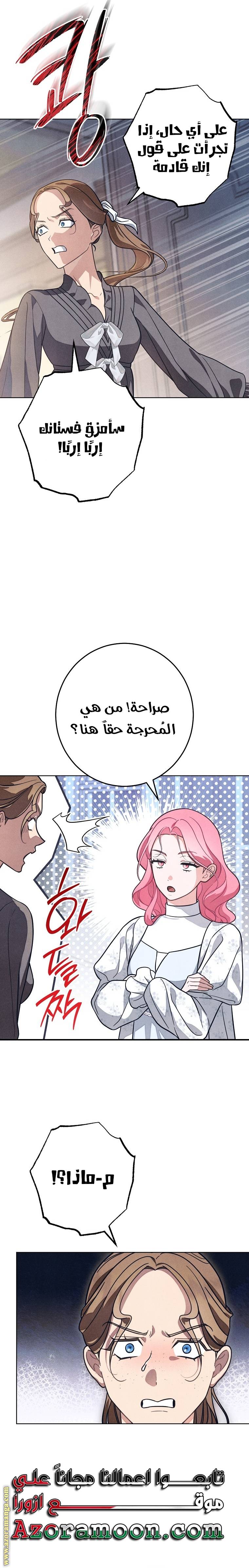 الصفحة 19