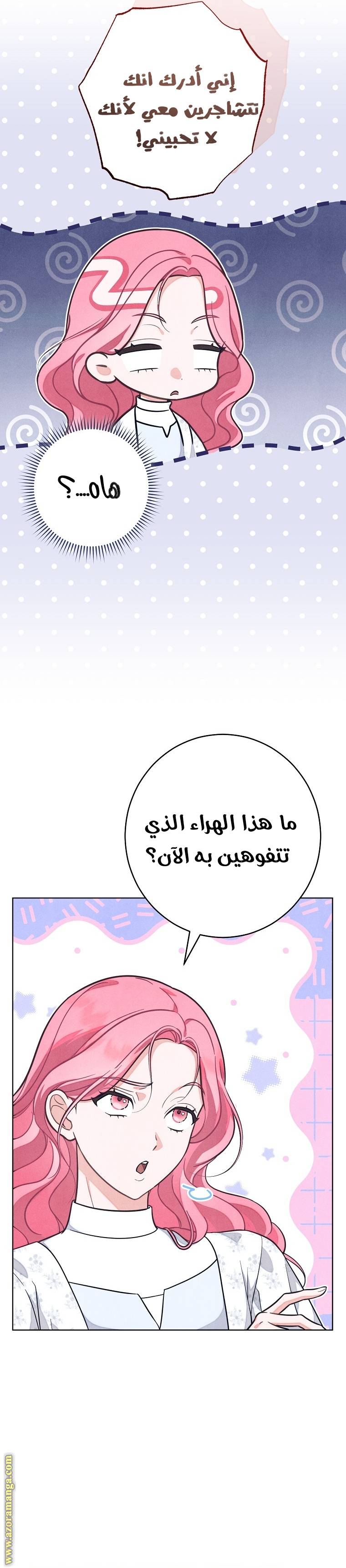الصفحة 22