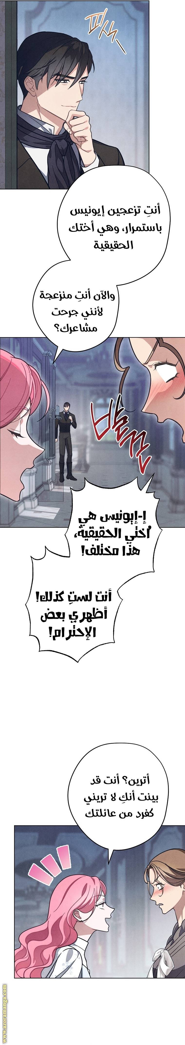 الصفحة 23