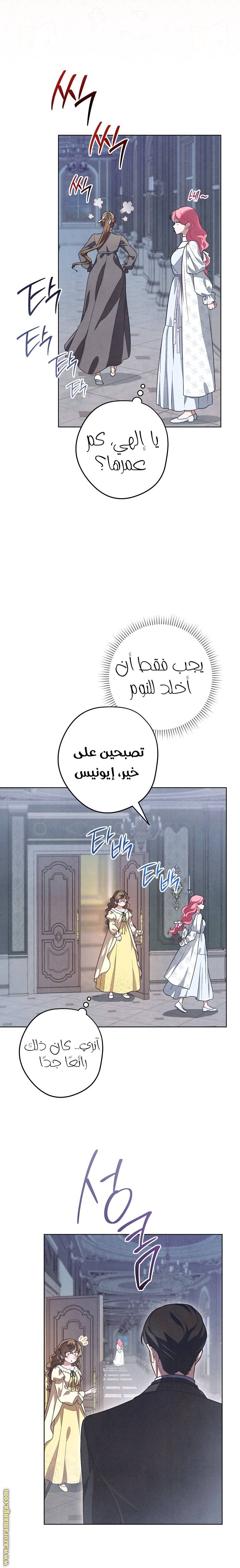 الصفحة 25