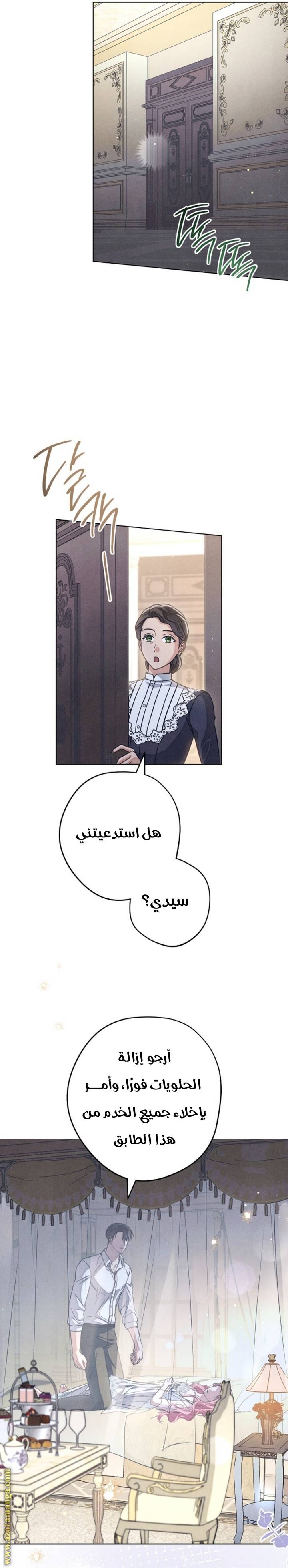 الصفحة 12