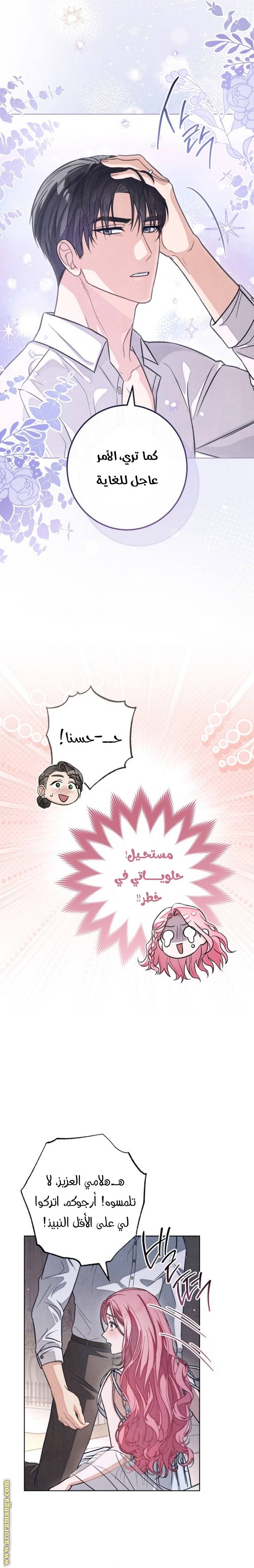 الصفحة 13