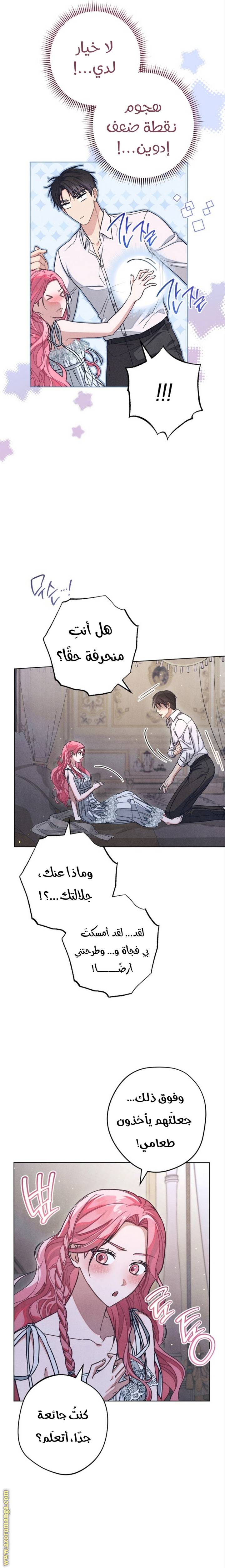 الصفحة 15