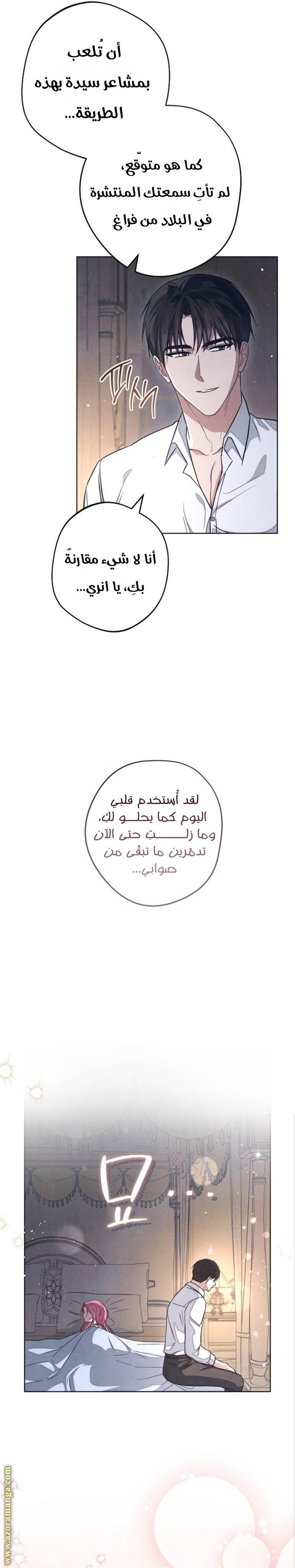 الصفحة 17