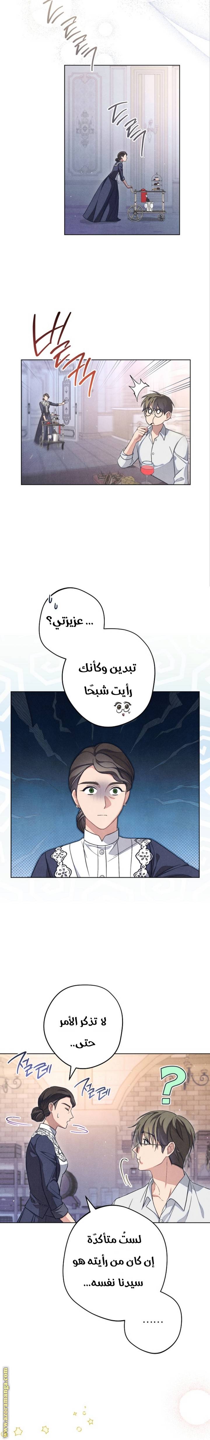 الصفحة 19