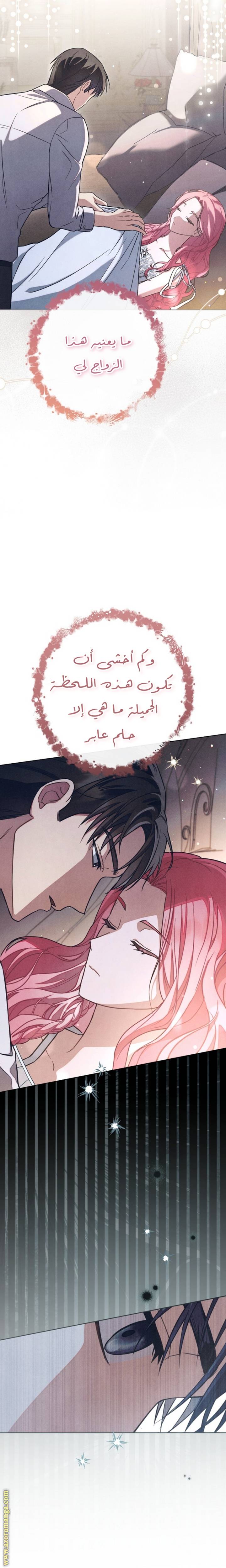 الصفحة 23