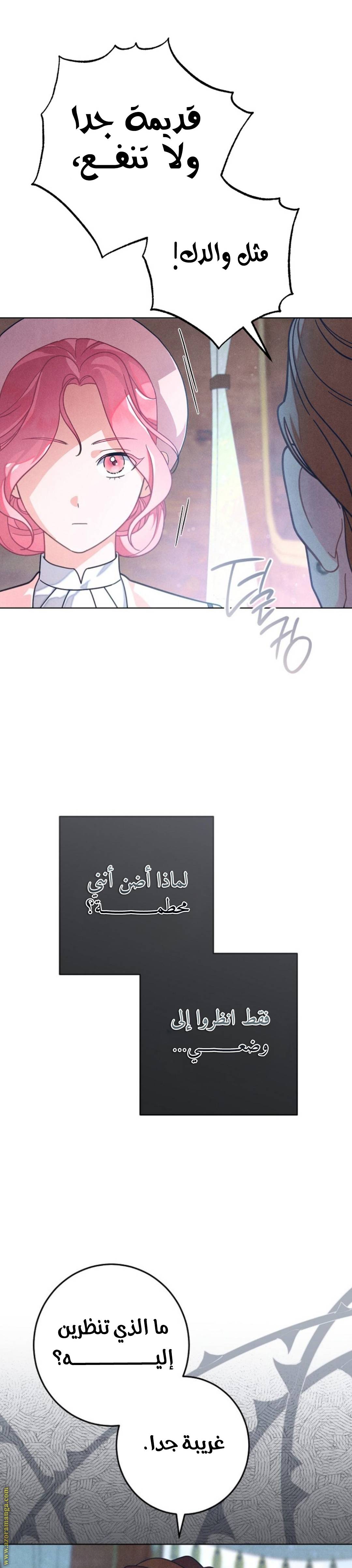 الصفحة 15