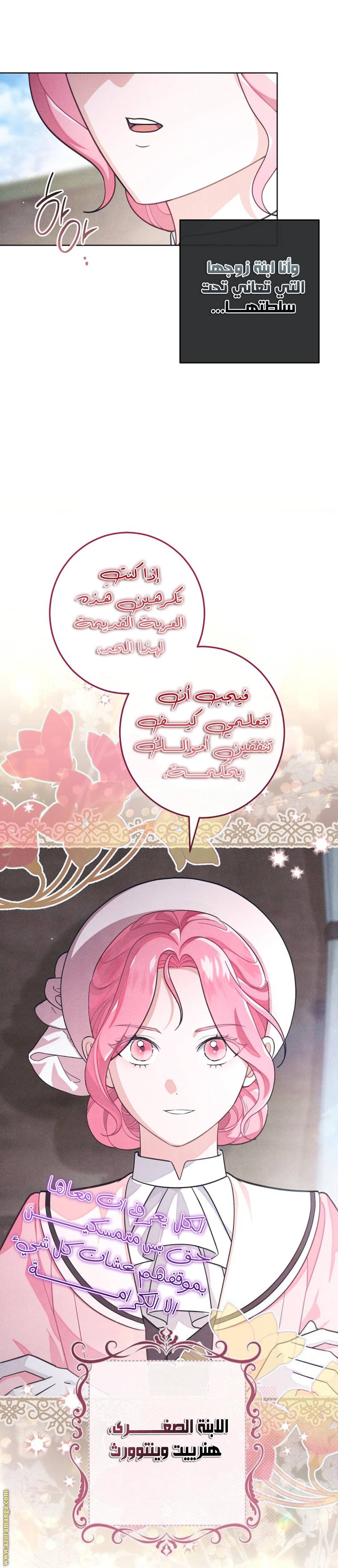 الصفحة 17