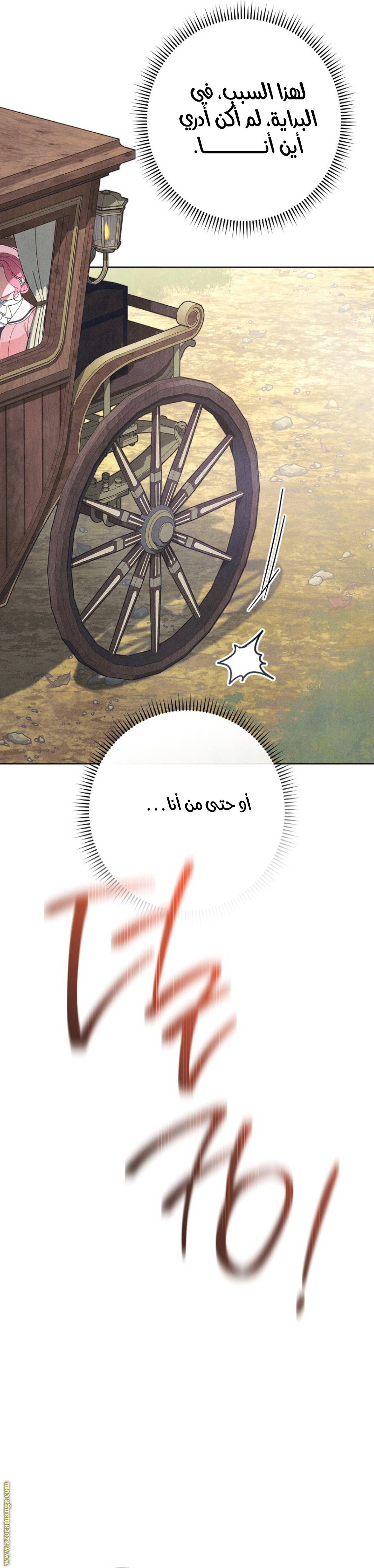 الصفحة 30