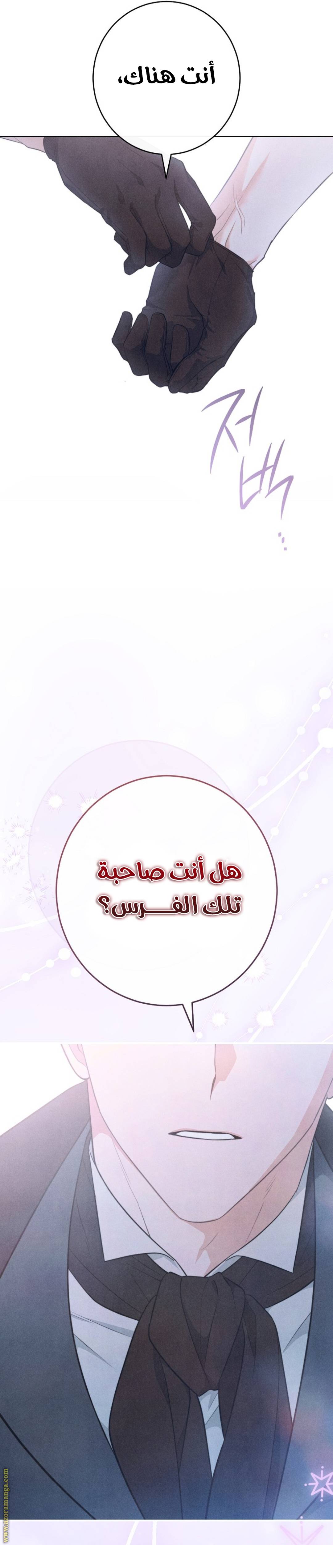الصفحة 37