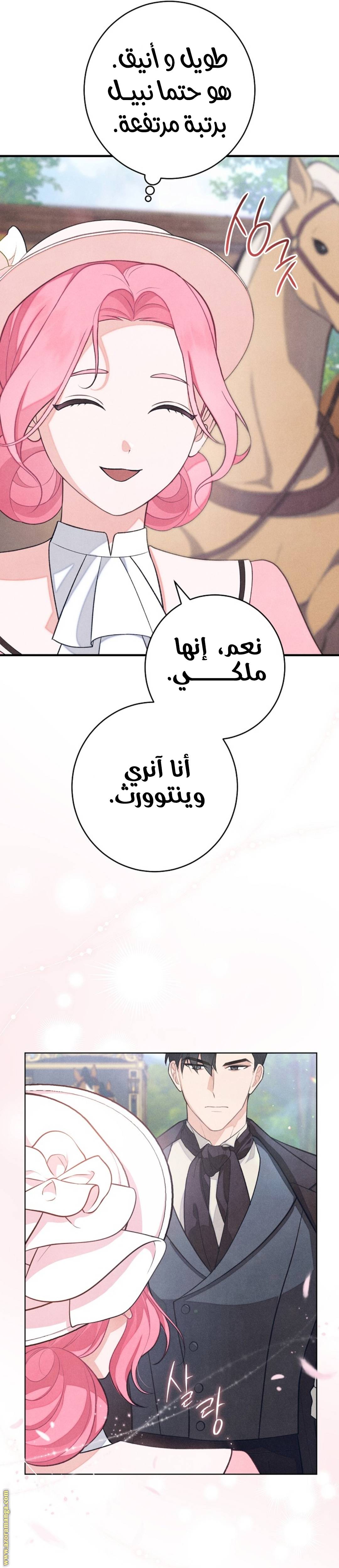 الصفحة 40