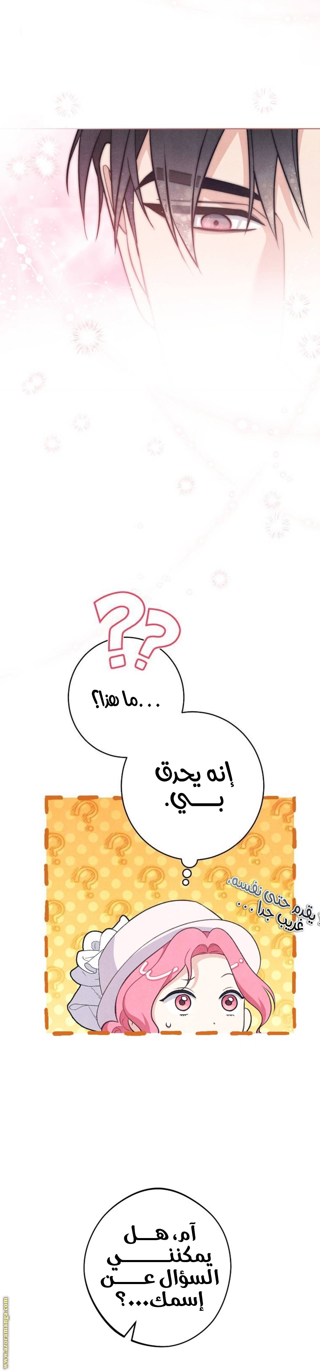 الصفحة 41