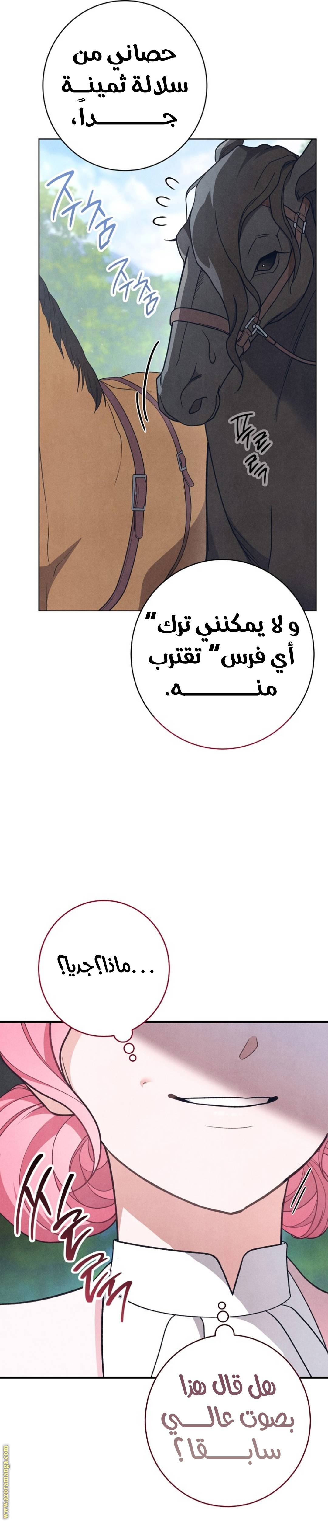 الصفحة 45
