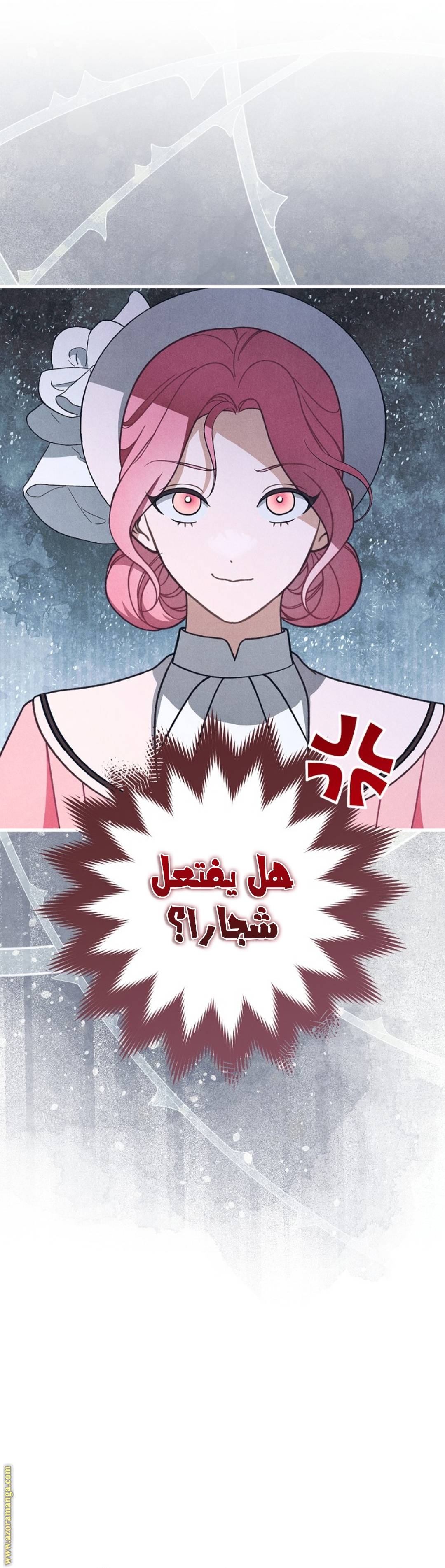 الصفحة 46