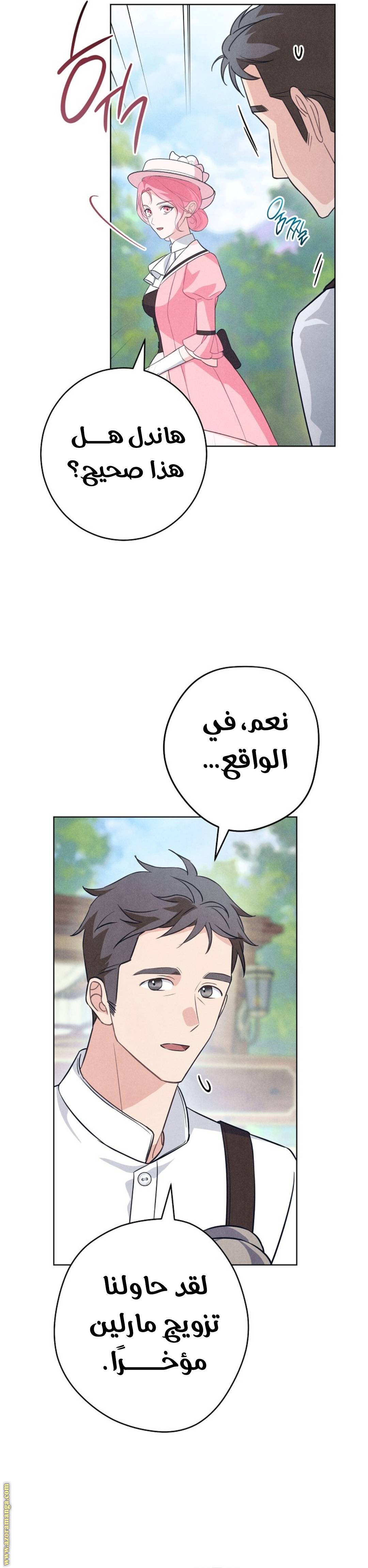 الصفحة 47