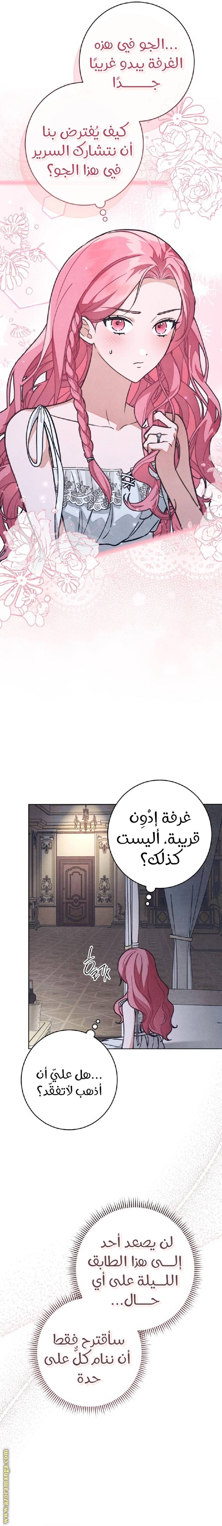 الصفحة 17