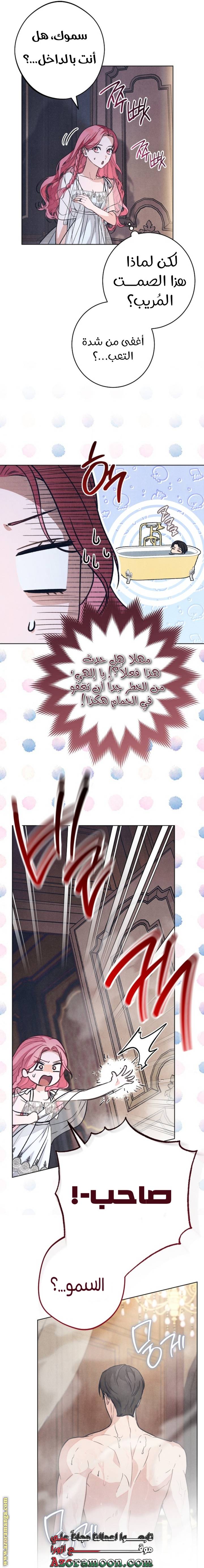 الصفحة 19