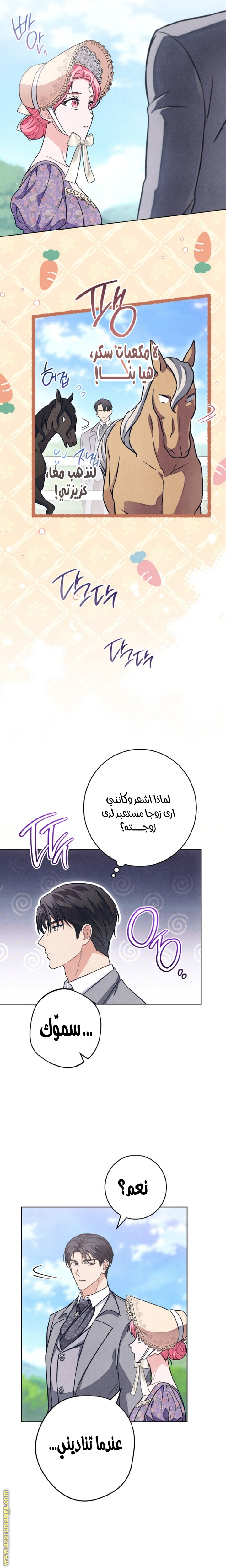 الصفحة 16