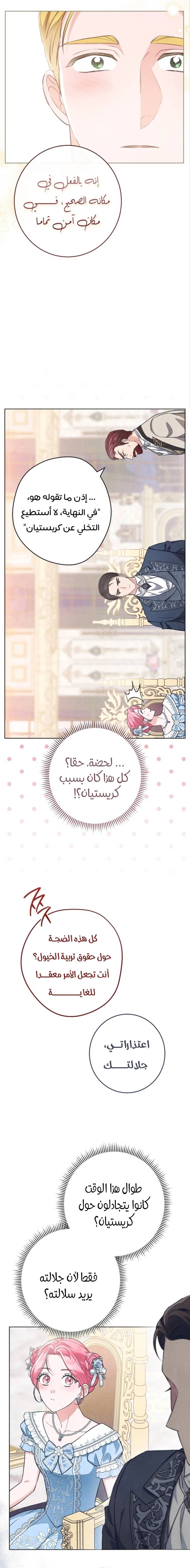 الصفحة 11