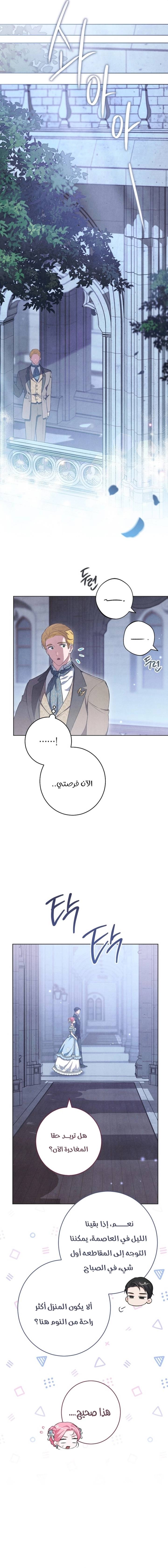 الصفحة 14