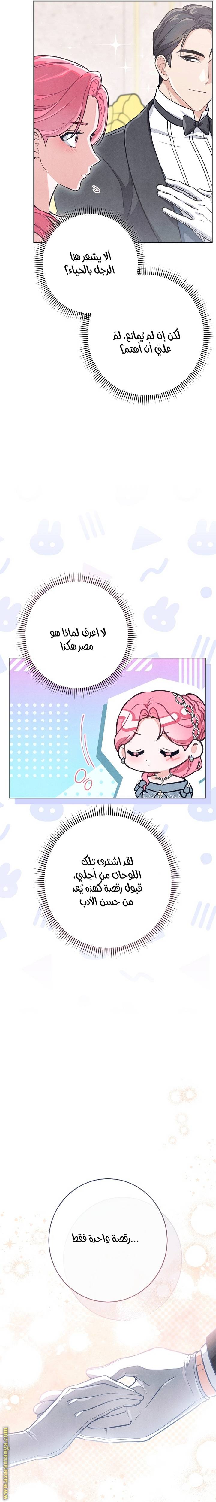 الصفحة 17