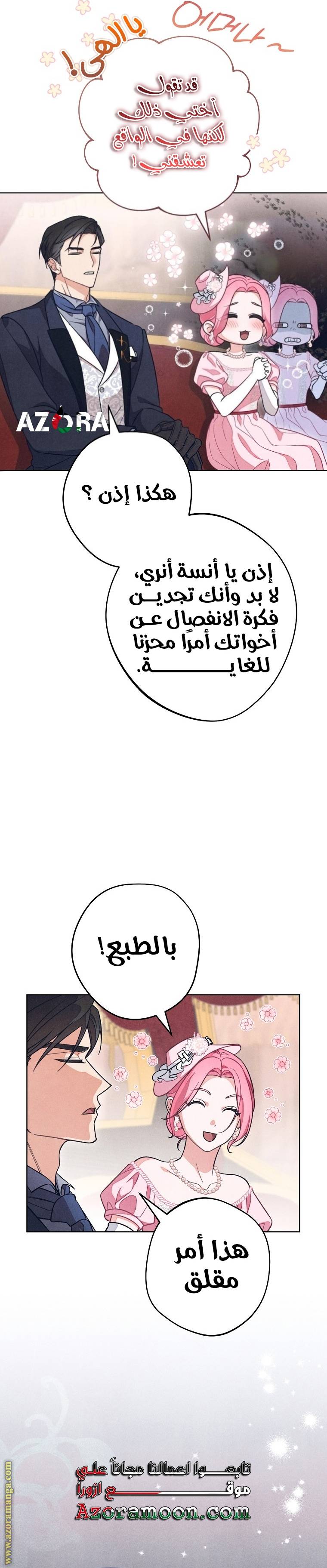 الصفحة 25