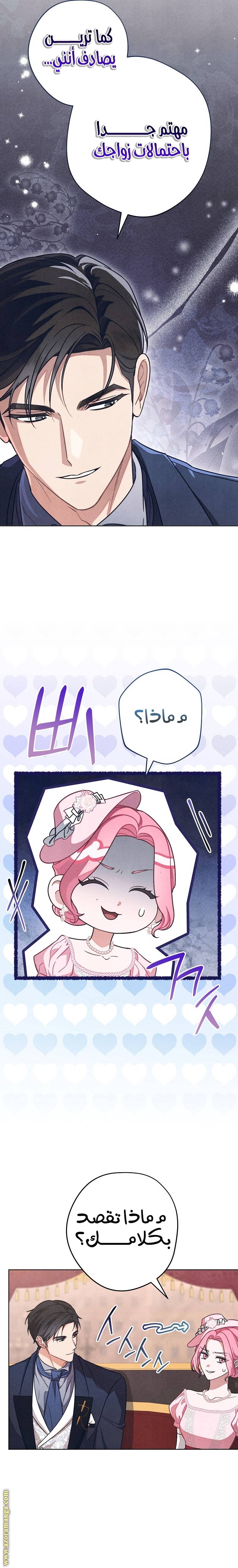 الصفحة 26