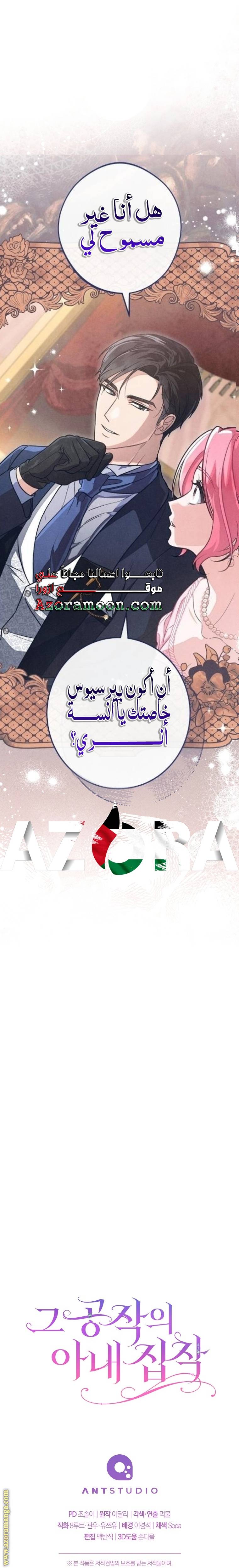 الصفحة 27
