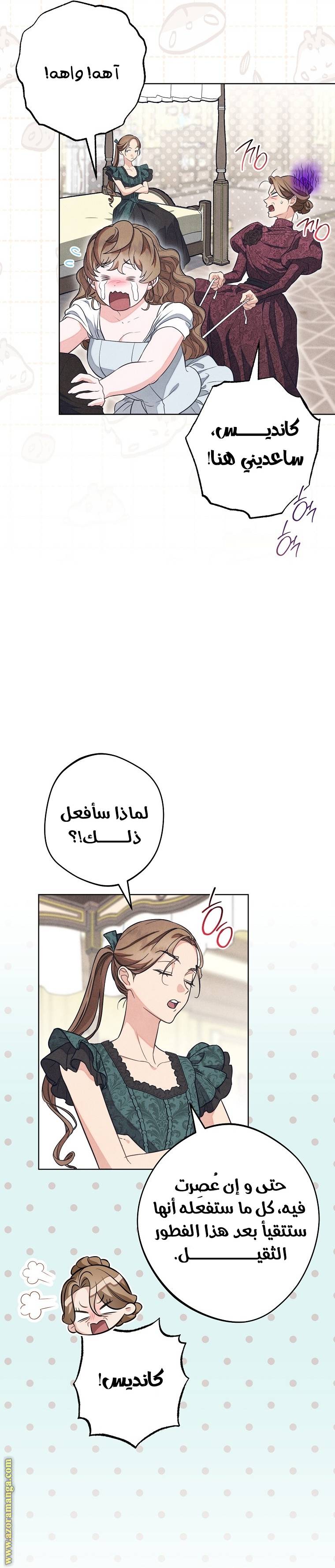 الصفحة 13