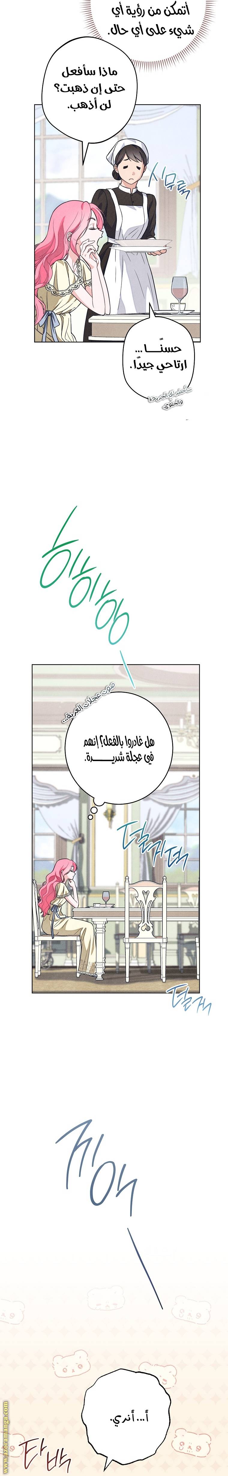 الصفحة 17