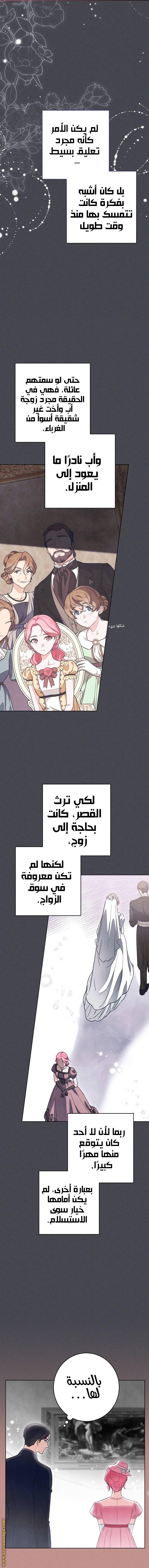 الصفحة 25
