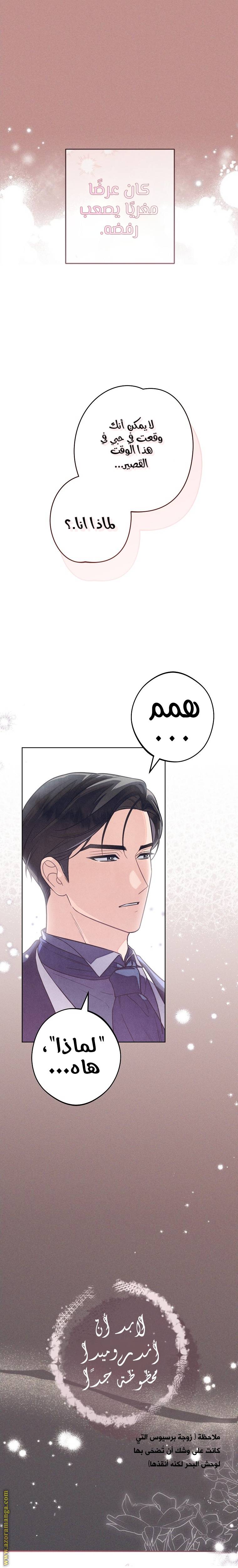 الصفحة 26