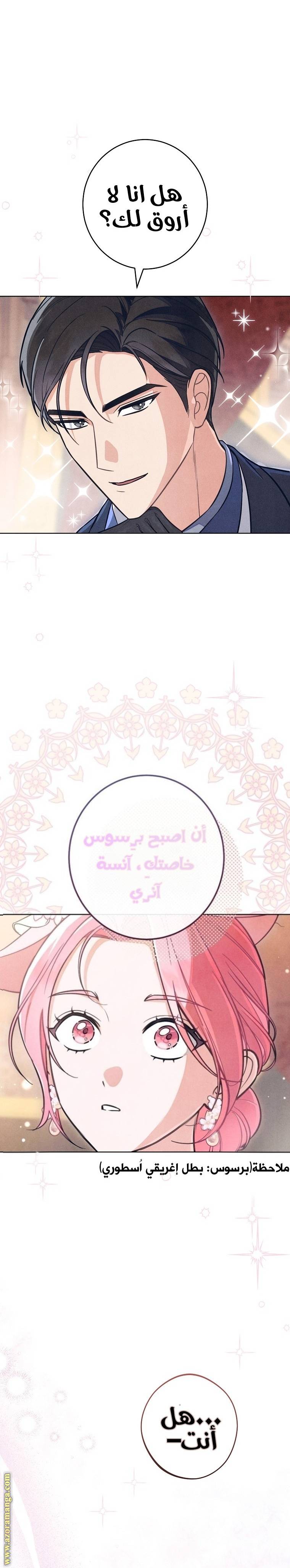 الصفحة 27