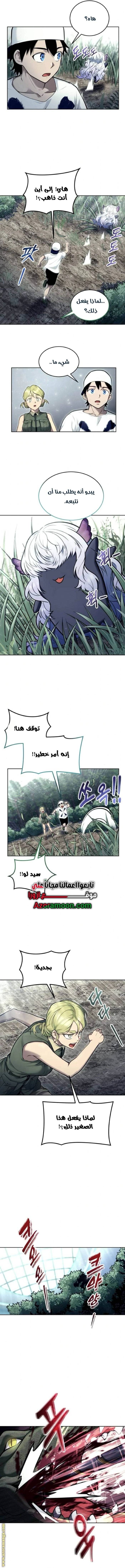 الصفحة 17